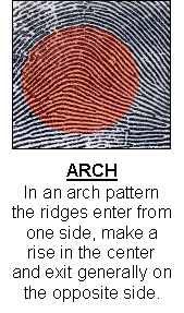 Example of a Arch Fingerprint pattern