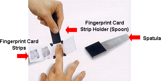 photo depicting use of a fingerprint spoon