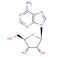 adenosine molecular structure