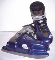 Modern recreational skates