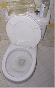 Flush toilet