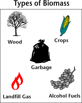 http://www.edinformatics.com/math_science/alternative_energy/biomass/BIOMASSTYPES1.gif