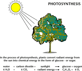 chemical energy examples