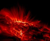 A closeup view of a sunspot and prominences