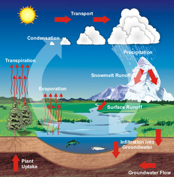 condensation water cycle. The water cycle, also known as