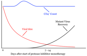 Sketch graph showing speed of mutant HIV recovery after administration of protease inhibitor monotherapy