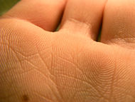 A macro shot of a palm and the base of several fingers; as seen here, debris can gather between the ridges.