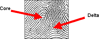 Loop Pattern focal Points Graphic