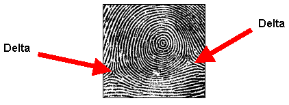 Whorl pattern focal points graphic