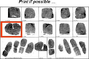 Fingerprint card notating to attempt to print webbed fingers as clearly as possible