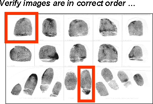 Graphic depicting fingerprints are in correct order on card