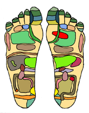 An example of a reflexology chart, demonstrating the areas of the feet that practitioners believe correspond with organs in the "zones" of the body.
