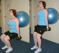 Swiss balls allow a wider range of free weight exercises to be performed. They are also known as exercise balls, fitness balls, gym balls, sports balls, therapy balls or body balls. They are sometimes confused with medicine balls