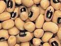 Photo of Blackeye beans