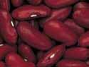 Photo of Dark Red Kidney beans