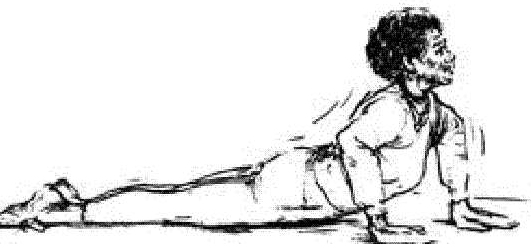 Modified Seal: to stretch abdominal wall, chest, and front of neck.