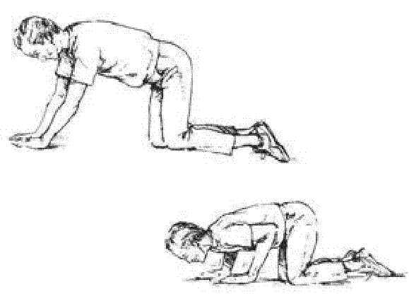 Modified Knee Push-up: to strengthen upper back.