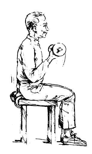 Seated Alternate Dumbbell Curls: to strengthen biceps of upper arms. 