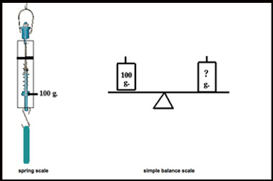 what is difference between mass and weight