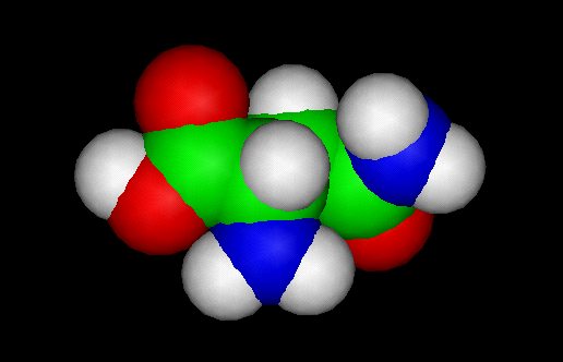 asparagine molecule