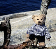 Gregory Bear "Dressed bear"