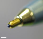 The tip of a common disposable ballpoint pen. The ball, with blue ink on it, can be seen. The white scalebar is 1mm wide.