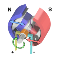 A simple DC electric motor. When the coil is powered, a magnetic field is generated around the armature. The left side of the armature is pushed away from the left magnet and drawn toward the right, causing rotation.