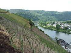 Steep rock slope, Moselle River
