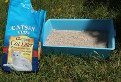 A packet of clumping cat litter & a litter box