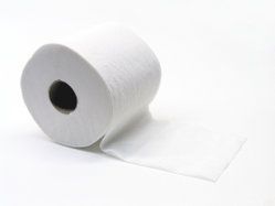 A roll of toilet paper.