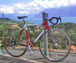 This  is built using lightweight, shaped aluminum tubing and carbon fiber stays and forks.  It sports a drop handlebar and thin tires and wheels for efficiency and aerodynamics