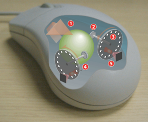 Operating a mechanical mouse.  1: Pulling the mouse turns the ball.2: X and Y rollers grip the ball and transfer movement.3: Optical encoding disks include light holes.4: Infrared LEDs shine through the disks. 5: Sensors gather light pulses to convert to X and Y velocities.