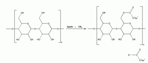 Cellulose is treated with alkali and carbon disulfide to yield viscose.