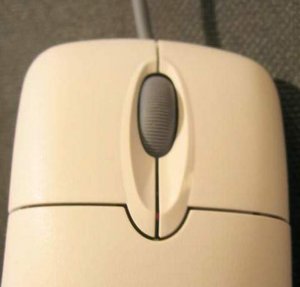 a Microsoft Wheel Mouse