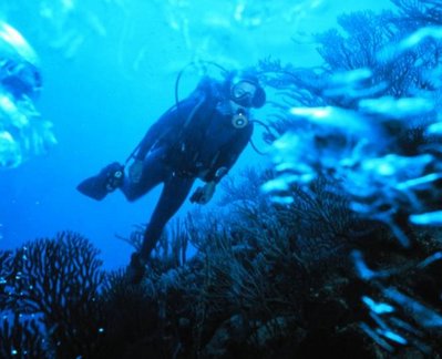 A scuba diver. Note the large face mask.