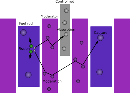Paths of some neutrons in a thermal reactor