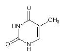 thymine molecular structure