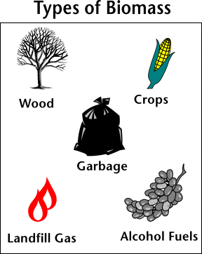 Image with different kinds of biomass types: wood, crops, garbage, landfill gas, and alcohol fuels