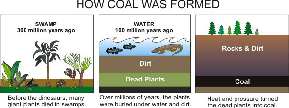 Three images showing how coal was formed.The first image is of a swamp, 300 million years ago. Before the dinosaurs, many giant plants died in swamps.

The second image is of water, 100 million years ago. Over millions of years, these plants were buried under water and dirt.

The third image is of rocks and dirt over the coal. Heat and pressure turned the dead plants into coal.