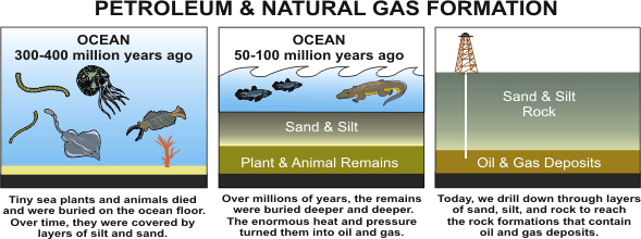 Three images, all about Petroleum & Natural Gas Formation.

The first image is about the Ocean 300 to 400 million years ago. Tiny sea plants and animals died and were buried on the ocean floor. Over time, they were covered by layers of sand and silt.

The second image is about the Ocean 50 to 100 million years ago. Over millions of years, the remains were buried deeper and deeper. The enormous heat and pressure turned them into oil and gas.

The third image is about Oil & Gas Deposits. Today, we drill down through layers of sand, silt, and rock to reach the rock formations that contain oil and gas deposits.