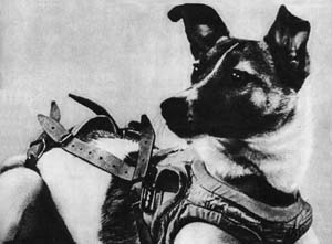 Laika: the first space traveller