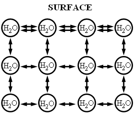 surface tension of water molecules