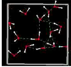 water molecules hydrogen bonded