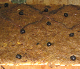 Pissaladière -- Onion Tarte made with Olives